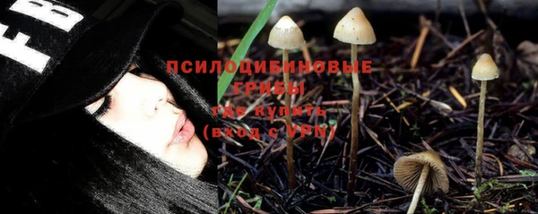 винт Верея