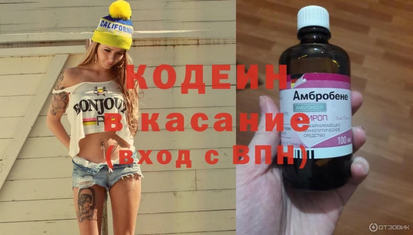 винт Верея